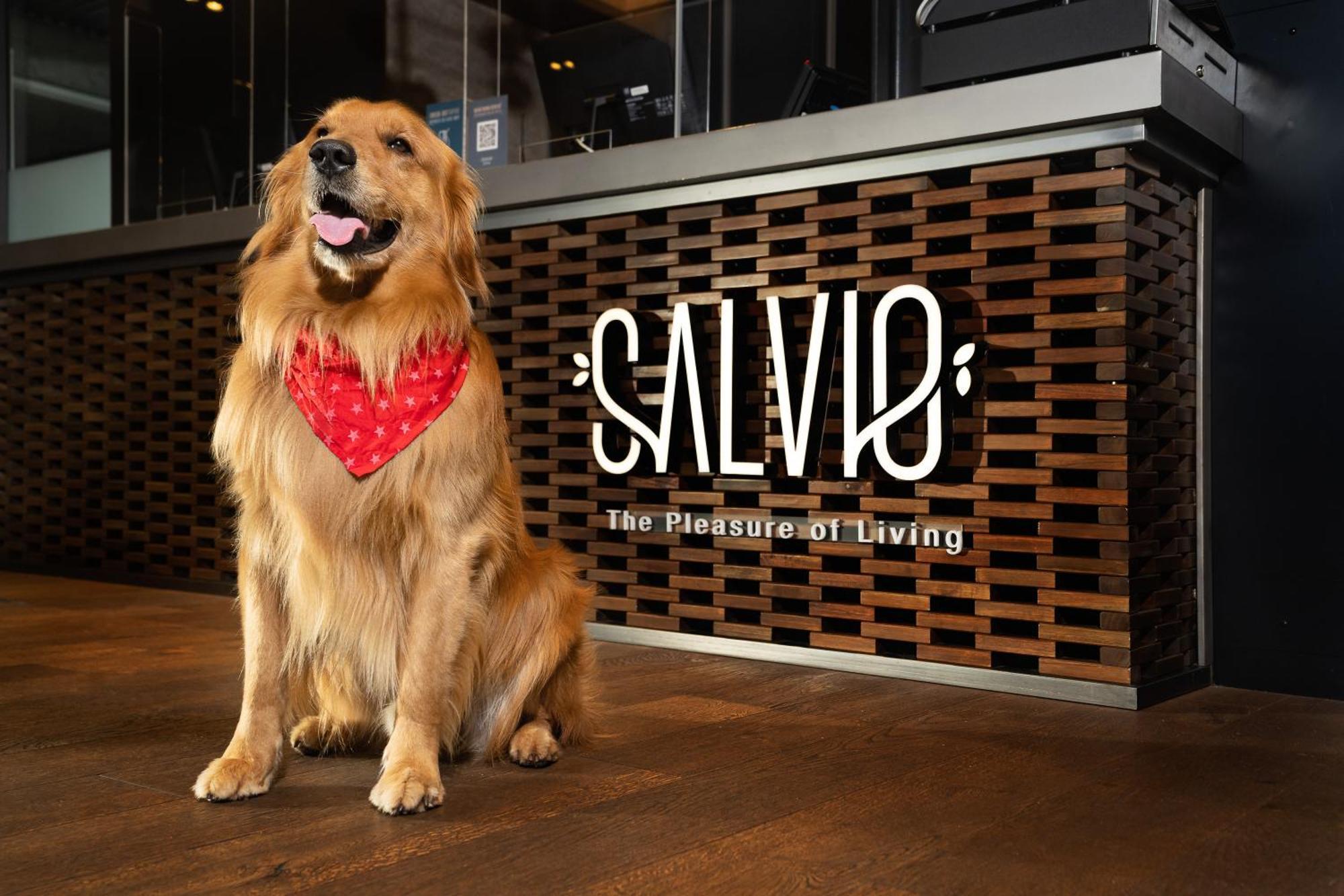 אפרטהוטל Salvio Parque 93 Bogota, Curio Collection By Hilton מראה חיצוני תמונה